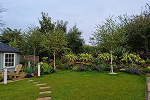 Mature planting by Wykeham Mature Plants