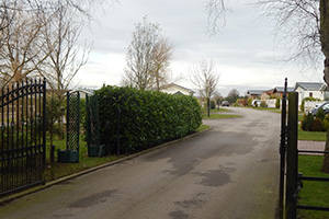 Mature planting by Wykeham Mature Plants - plants at the entrance to a park