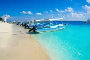 pesca