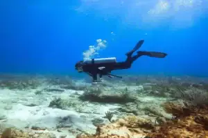 centro de buceo king scuba dive center