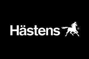 Hastens Luxurious Beds