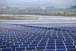 Fundación Ingenio pide cambios a López Miras en la feria Fruit Attraction