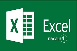EXCEL