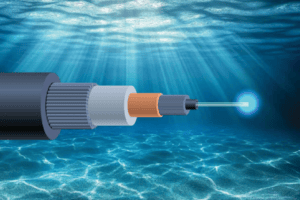 report to strengthen submarine cable resilience