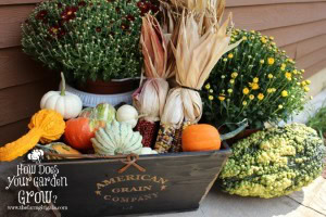 Box with gourds