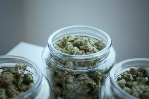 how to properly store weed
