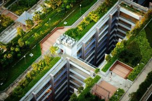 Telhados Ecológicos — Como Transformam Seu Prédio