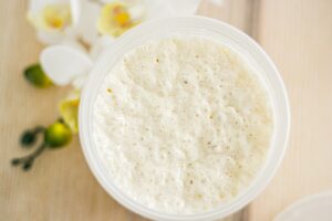 Sourdough starter