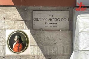 Poli