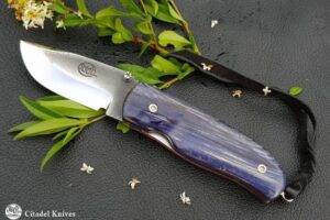 Citadel « Chantha Bluebeech »- Couteau de Poche.