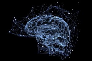 Das Hirn, ein neuronales Netz