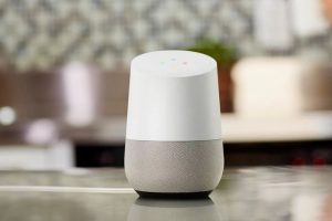 Google Home, die sprechende Blumenvase