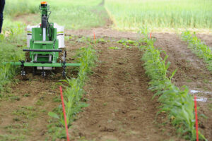 Naïo Technologies weeding robot. While the climate changes, Robotic weeders could help control weeds in corn. - Photo: Jean-Christophe Verhaegen/AFP