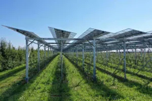 In Europe in particular, where there are large areas of fruit growth under cultivation, BayWa r.e. sees enormous potential for Agri-PV. - Photo: BayWa r.e.