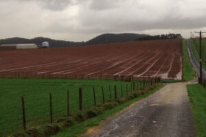 The farm has some steep hills and undulations and quite a high rainfall. - Photo: Redbank Farm