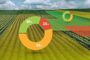 Cromai's computational vision identifies patterns in images collected in the field to offer diagnostics that provide a better grounding in agronomic decision-making. - Image: Cromai