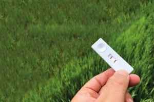 The Mologic BReD kit for detecting non-target site herbicide resistance in blackgrass populations is designed to provide a result in just 5 minutes. - Photo: Mologic