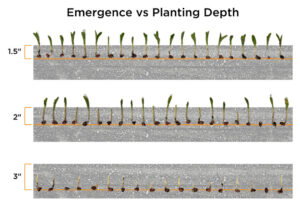 Emergence versus planting depth. - Source: Precision Planting