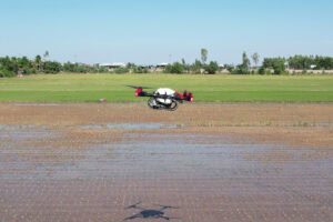 XAG P100 agricultural drone fertilising rice crops. - Photo: XAG