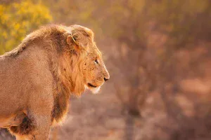 samburu national park