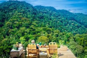 Pearl of Africa Luxury Escape