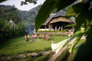 Uganda’s Signature Luxury Adventure