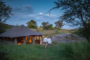 Luxury Safaris and Discovery Tours
