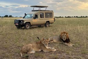 Uganda Royal Wilderness Journey