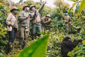 Uganda Trekking Tour