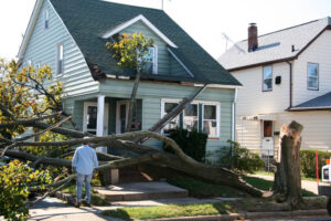 How Professional Tree Care Can Protect Your Home from Severe Weather