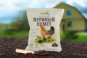 помидоры на подоконнике круглый год