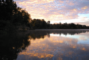 CAMPING NEAR SPRINGFIELD | 4 BEST SANGAMON COUNTY CAMPING SCENES 7_2021 best sangamon county camping