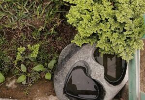 COMO-DECORAR-MI-JARDIN-CON-PIEDRAS-DE-RIO