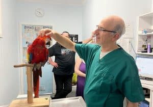 Exotic Bird Animal Hospital