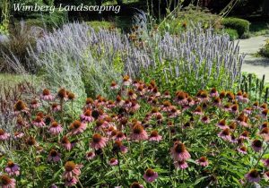 Read more about the article Simple Steps to a Pollinator Garden