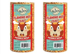 Hot Pepper Bird Seed Cylinder