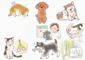 シュナウザー、トイプードル、柴犬、ペットの挿絵イラスト