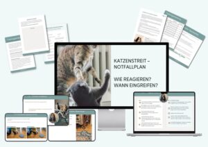 Inhalt des Minikurses Katzenstreit Notfallplan- Wann eingreifen? Wie reagieren?