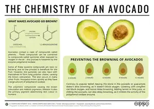 Amp up your avocado intake