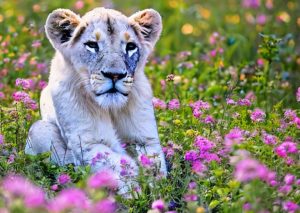 投稿についてもっと詳しく ここ最近のイングランド2部リーグの記事を3つ紹介