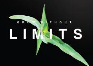 Limitless Ag Solutions graphic design - Professional marketing materials for agricultural business in Wolverton Minnesota