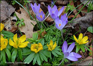 Read more about the article SPRING IS IN THE AIR!