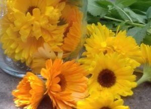 cosmétique naturelle - Ateliers de naturopathie à Mouans-Sartoux