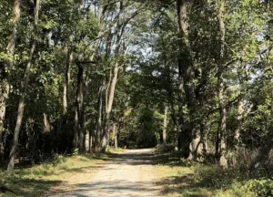 5 SPECTACULAR CAMPGROUNDS NEAR MOLINE, IL | QUAD CITIES CAMPING 3_2021 campgrounds near moline, il