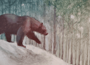 Bear Forest Tress Snow Walk