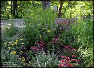 Read more about the article NOTES FROM THE GARDENS