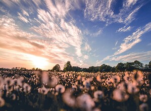 Bu haberin fotoğrafı yok