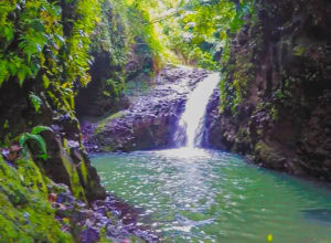 Maunawili Falls trail