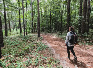 Hiking in Weymouth Woods