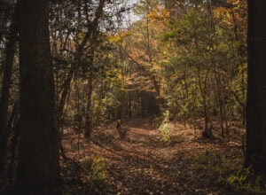 Hiking at Raven Rock State Park